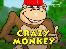 Crazy monkey